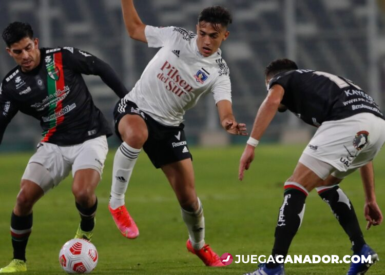 Pronóstico: Palestino vs Colo Colo, jueves 8 de julio