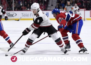 Pronóstico: Arizona Coyotes vs Montreal Canadiens, lunes 17 de enero