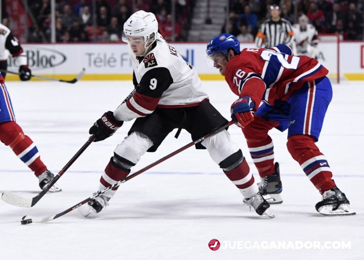 Pronóstico: Arizona Coyotes vs Montreal Canadiens, lunes 17 de enero