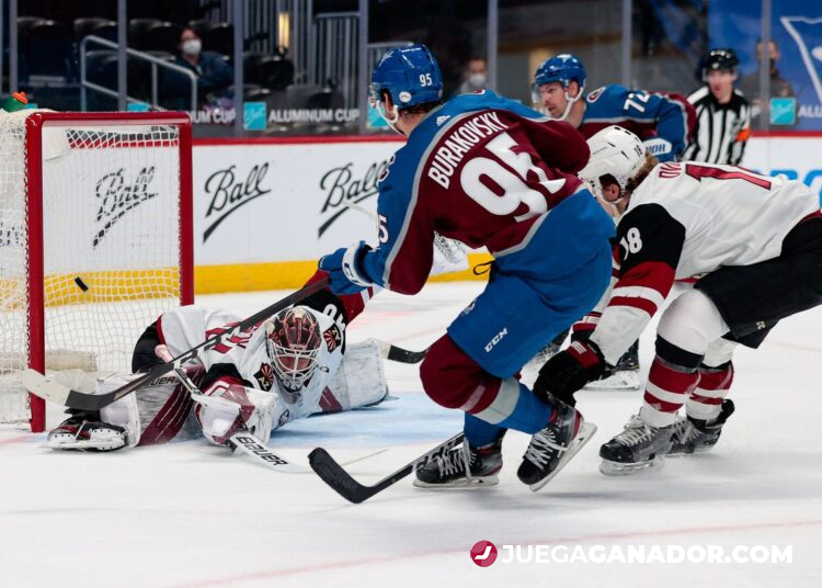 Pronóstico: Colorado Avalanche vs Arizona Coyotes, martes 1 de febrero