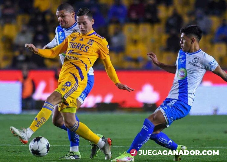 Pronóstico: Club Puebla vs Tigres, viernes 16 de septiembre
