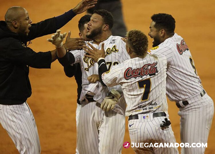 Pronóstico: Leones del Caracas vs Tigres de Aragua, martes 29 de noviembre