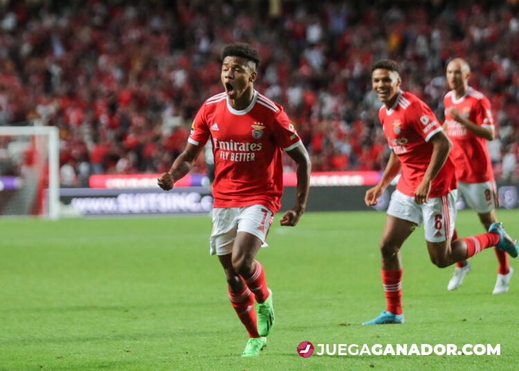 Pronóstico: Maccabi Haifa vs Benfica, miércoles 2 de noviembre