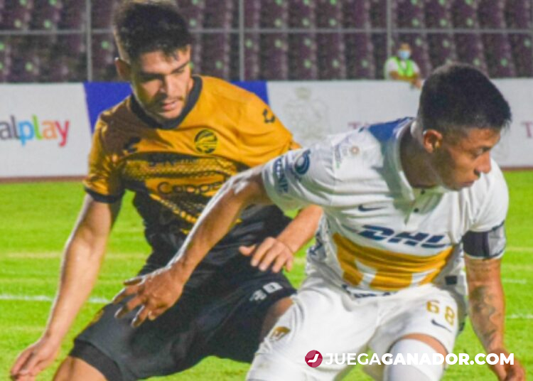 Pronóstico: Dorados de Sinaloa vs Pumas Tabasco, martes 31 de enero