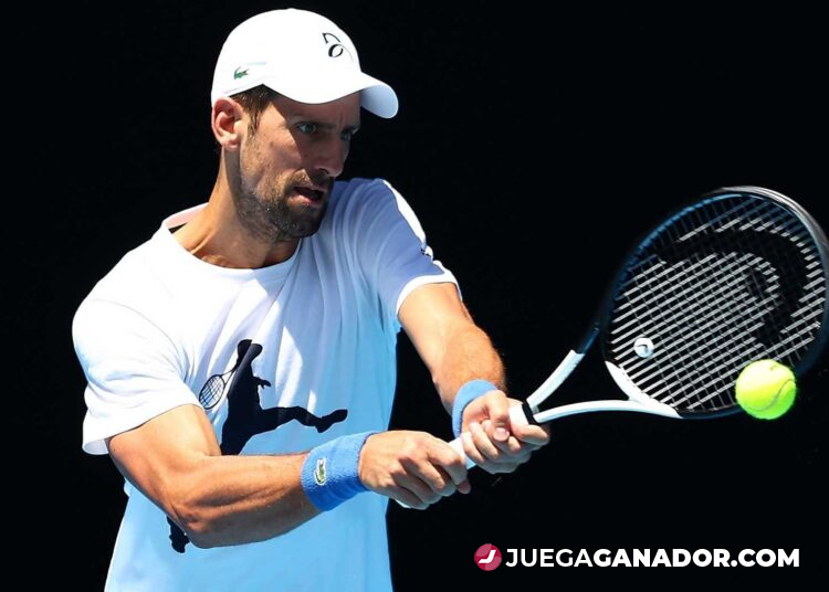 Pronóstico: Carballes Baena vs Novak Djokovic, martes 17 de enero