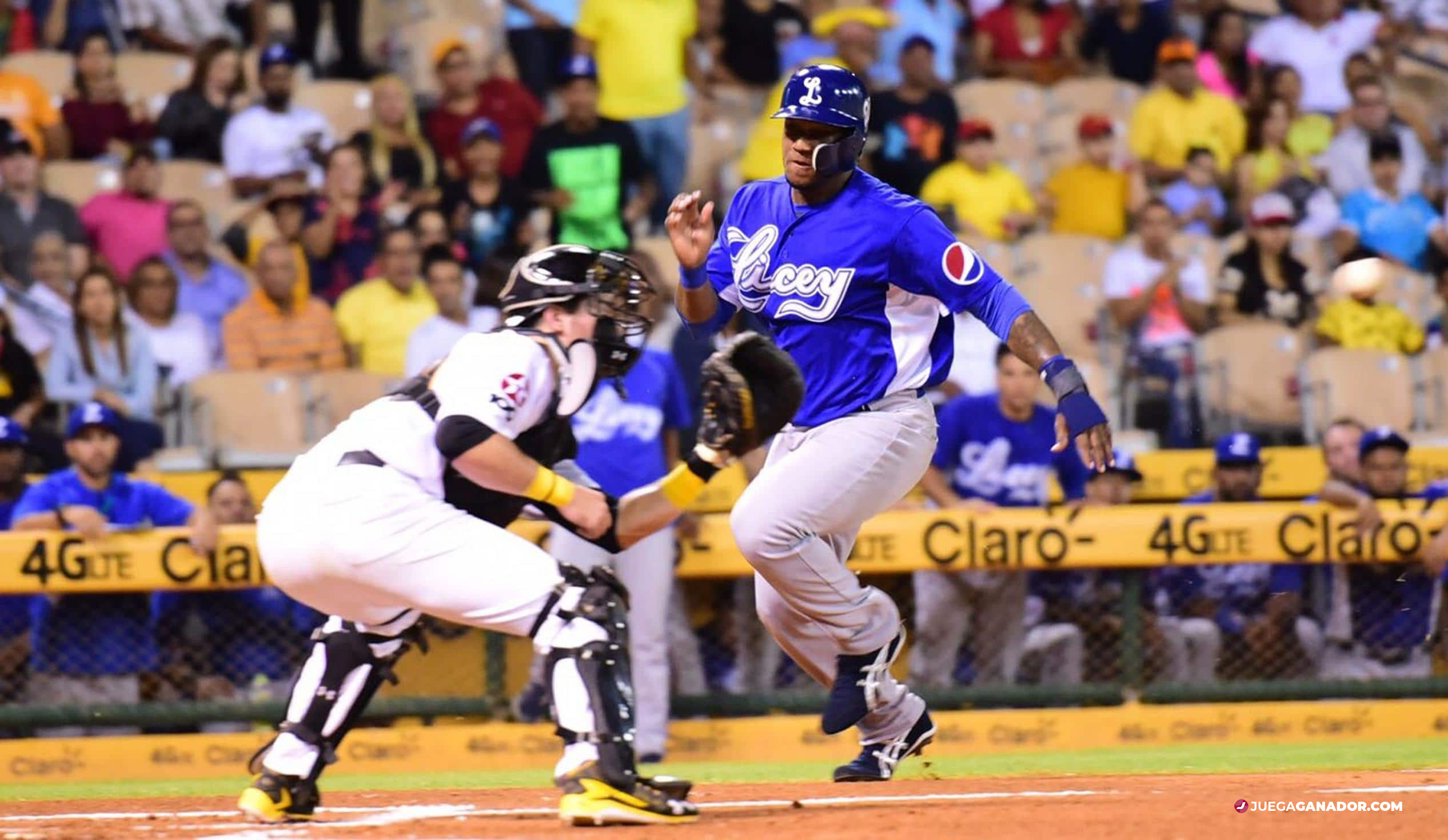 Pronóstico: Tigres del Licey vs Águilas Cibaeñas, lunes 9 de enero |  Pronósticos Deportivos y Grupos VIP