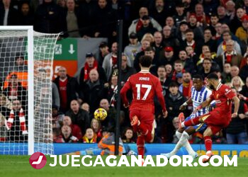 Pronóstico: Liverpool FC vs Bayer Leverkusen, martes 5 de noviembre